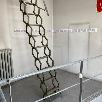 WhatsApp Image 2025-11-20 at 14.19.41